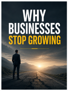 Why Businesses Stop Growing